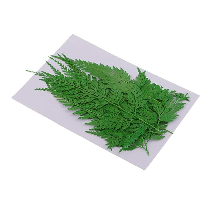 Hogar Y Cocina Decoracion De Pared Hogar Y Cocina Ipotch 12 Piezas