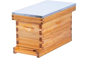 BEEINN 5 Frame Nuc Complete Bee Hive Kit Langstroth Beehive Box Dipped in Beeswax Include Beehive Frames and Waxed Foundation Sheets