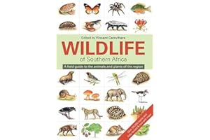 Wildlife of Southern Africa: A field guide to the animals and plants of the region