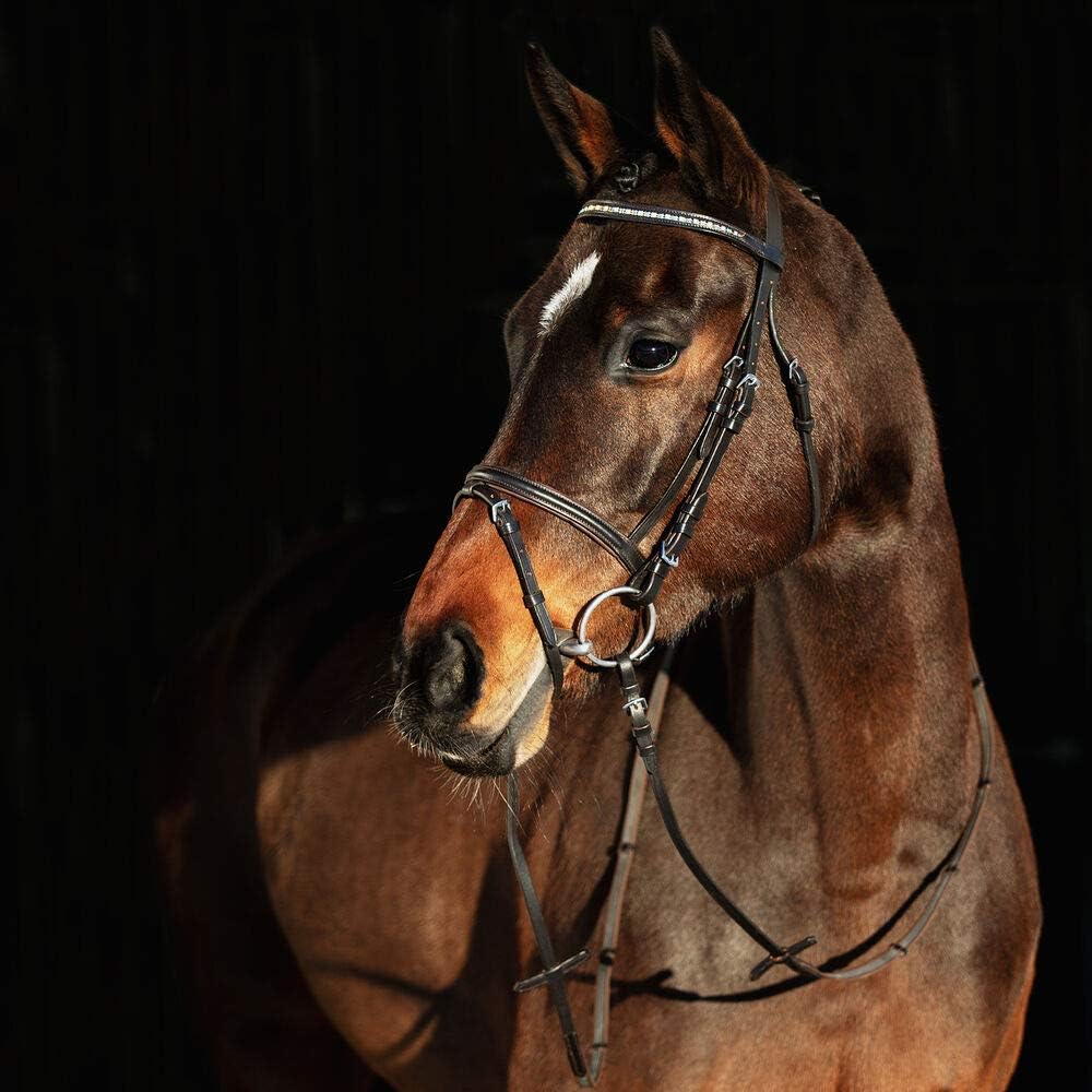 HORZE Weston Flash Bridle w/Reins: Sports & Outdoors
