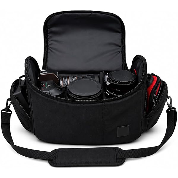Amazon.com : eCostConnection Large Digital Camera/Video Padded