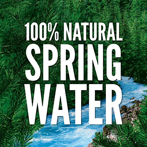 Poland Spring Spring Water - 33.8 Oz - 15 ct - //coolthings.us