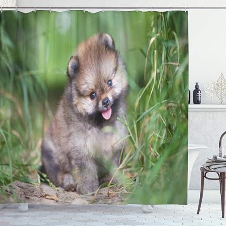 Amazon Kapanou 防水 シャワーカーテン 緑に座っている茶色のかわいい小さなポメラニアン子犬 かわいいシャワーカーテン ユニットバス バスルーム 芸術の装飾 180cmx180cm バスフック付き 取り付け簡単 シャワーカーテン ホーム キッチン オンライン通販