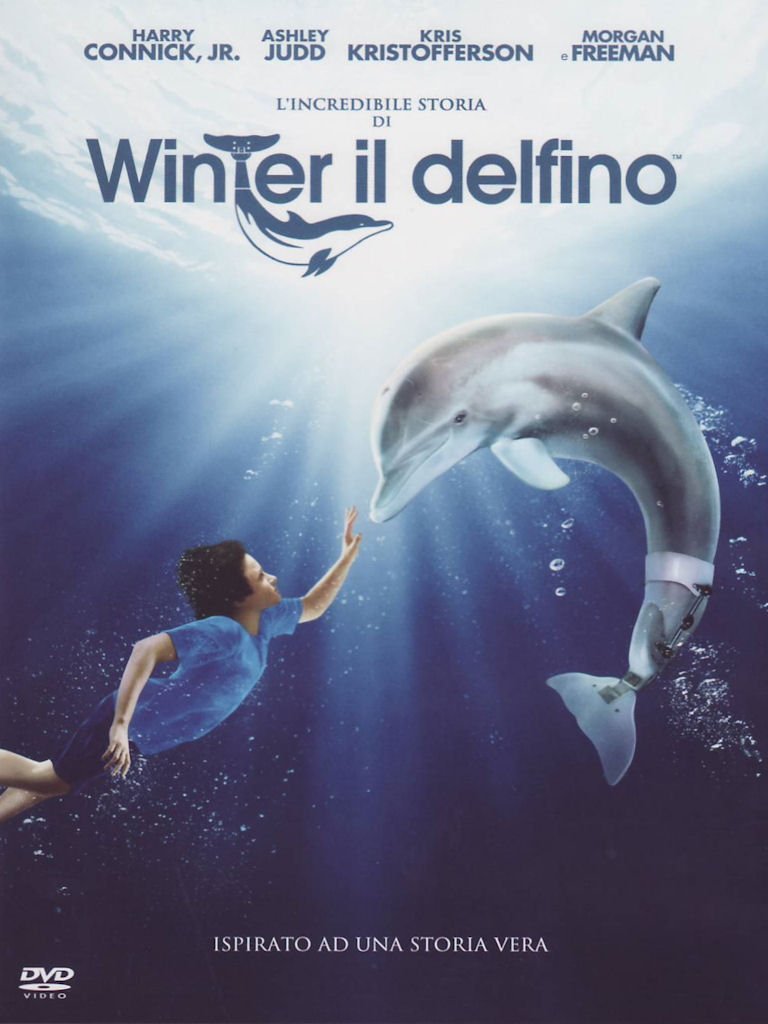 L Incredibile Storia Di Winter Il Delfino
