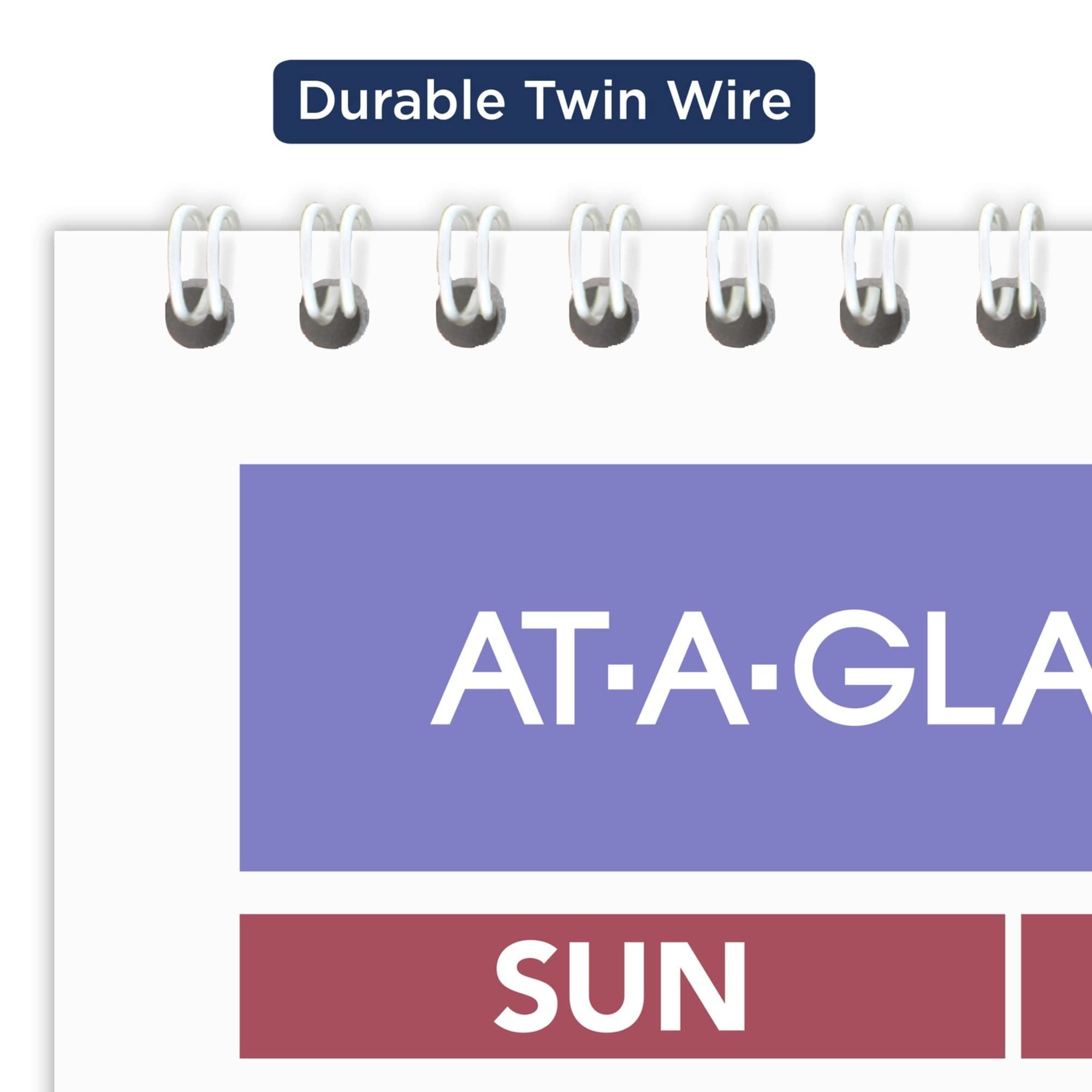 View 5