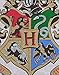 Harry Potter Hogwarts Women's Raglan Long Sleeve Cotton T-Shirt Medium