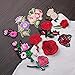 C-Pioneer 11pcs Flower Roses Embroidered Repair Patches Iron On Cloth Paste DIY Applique Craft Kids Clothing Hat Bag Decor