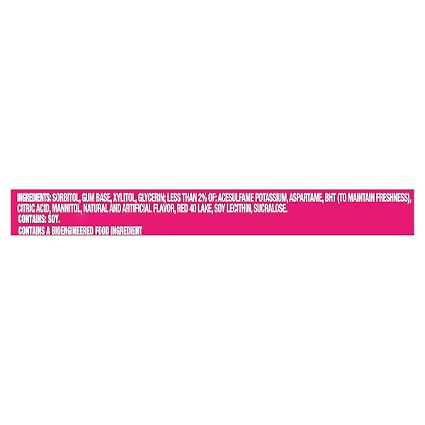 TRIDENT BUBBLEGUM SUGAR FREE GUM, TRAVEL ACCESSORIES, 12 PACKS OF 14 PIECES (168 TOTAL PIECES)