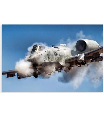 Amazon.com: MGSBCXN F-15 Airplane Canvas Wall Art Prints McDonnell