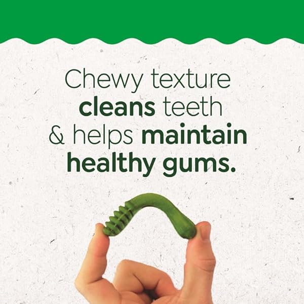 GREENIES VETERINARIAN-RECOMMENDED NATURAL DENTAL PUPPY TREATS PETITE SIZE, DENTAL TREATS FOR DOGS, 6 OZ. PACK, 10 COUNT