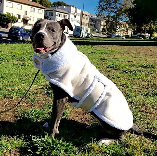 Shearling Fleece Dog Jacket Premium Quality (X-Large) Beige