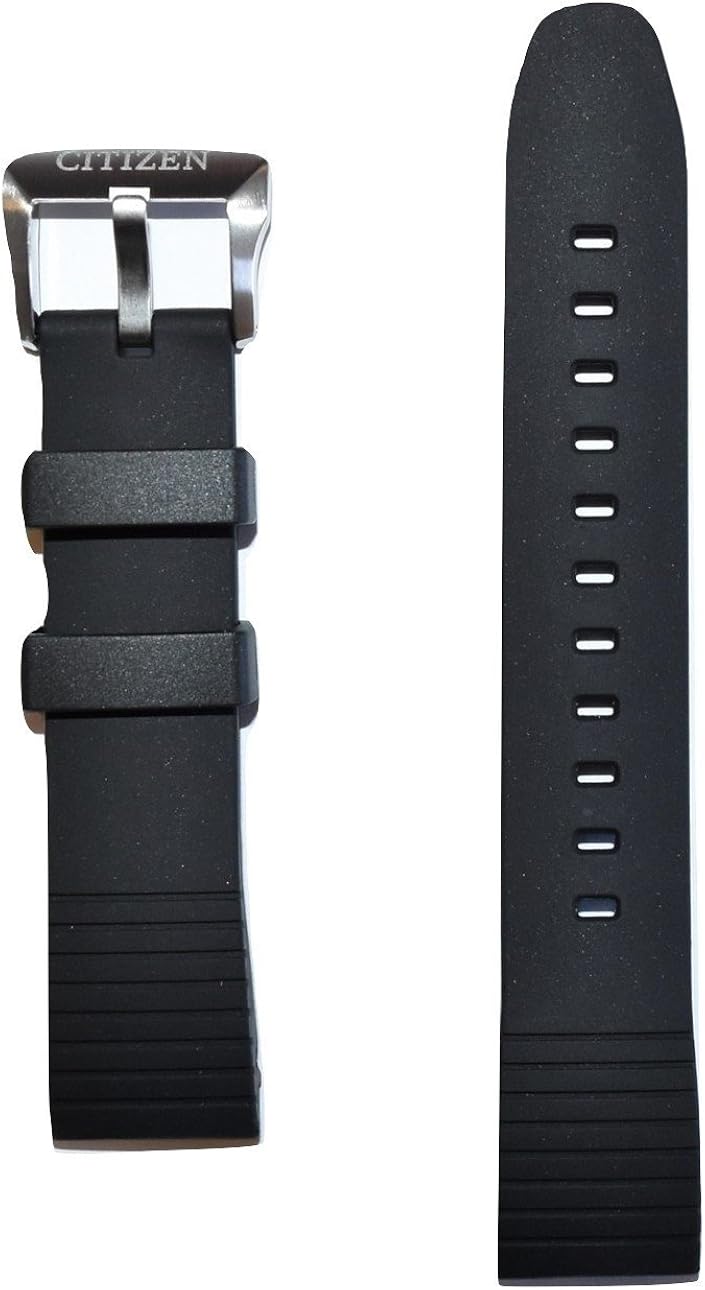 Original Citizen Promaster Altichron 