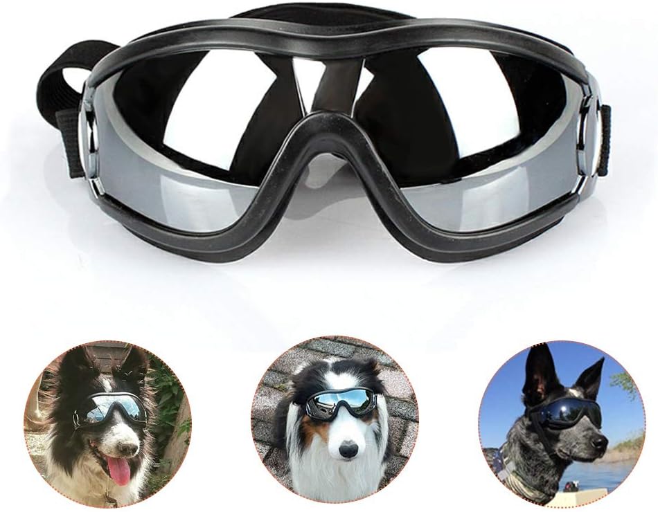 dog aviator glasses
