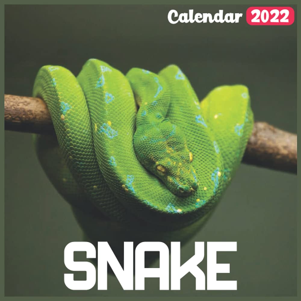Snake Calendar 2022: Official Snakes Calendar 2022, 18 Month Photo Of Snake Calendar 2022, Mini Calendar: Botmir, Dopmib: 9798518368606: Amazon.com: Books