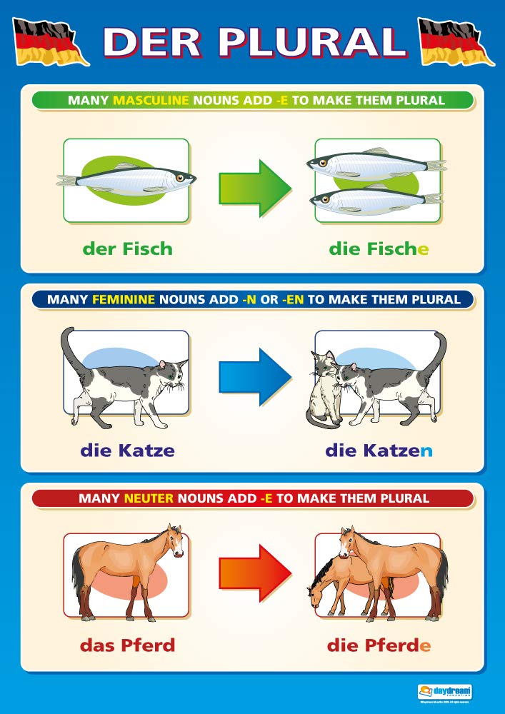 Der Plural | Language Learning Posters | Gloss Paper measuring 850mm x 594mm (A1) | Second Language Charts for the Classroom | Education Charts by Daydream Education