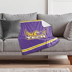 Tennessee Tech Golden Eagles Primary Logo Stripes