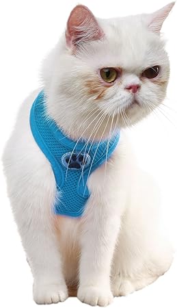 Bingpet Harnais Pour Chat Reglable En Maille Souple Pour Animal Domestique Et Petit Chien Noir Taille Xs M Amazon Ca Animalerie