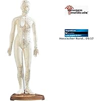 3B Scientific - Blocco Note Meridiani Agopuntura, 50 Fogli Francese - Foto 3