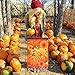 AerWo Welcome Pumpkin Fall Garden Flag 12“×18”, Double-Sided Decorative Fall Autumn Harvest Yard Flag (Pumpkin, Sunflower & Welcome)