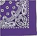 Purple Trainmen Paisley Bandana (22