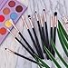 Docolor Eye Makeup Brush Set Professional Eye Makeup Brushes Eyeshadow Eyeliner Concealer Eyebrow Blending Brushes Make Up Brush Kit (10 Pcs,Black with Rose Gold)