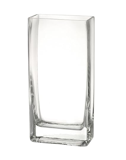 Elegantly Tall Rectangular Glass Flower Vase Simple Modern
