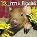 12 Little Piggies 2018 Wall Calendar by 