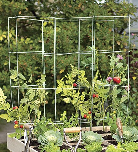 Tomate de acero galvanizado, Torres, juego de 3: Amazon.es: Jardín