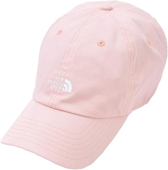 the north face washed norm cap