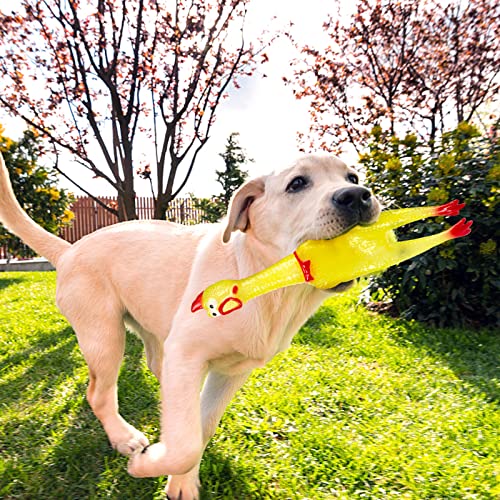 POPLAY Flashing Screaming Chicken, Rubber Chicken Dog Toy LED Shining Squeaky Chicken for Chew Toy Stress Relief Practical Jokes