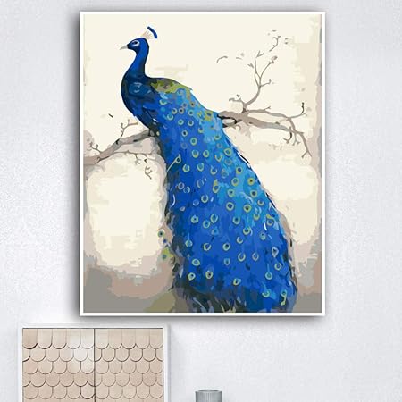 Amazon 数字でかわいい孔雀diyの絵カラフルな孔雀キャンバスに描く手描きの絵画アートギフトdiy家の装飾 40x50cm個枠なし 絵具 通販