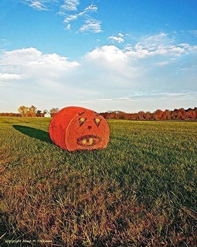 Pumpkin Hay Bale. A fine art photograph of a hay bale spray in a farm field painted to look like a Jack 'O Lantern. A fun holiday tradition!