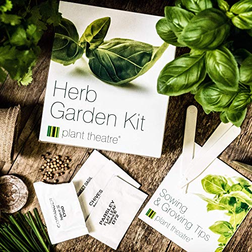 Plant Theatre Herb Garden Seed Kit Gift Box - 6 Different Herbs to Grow, Includes: GREEN ITALIAN PARSLEY, SWEET BASIL, CILANTRO, TARRAGON, CHIVE AND THYME Seeds. Everything you need to start growing in one box! Superb Gift!