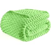 Bnuitland Light Green Flannel Throw Blanket (50X40 inches), 300 GSM Fleece Cozy Warm Soft Lightweight Bed Sofa Blanket for Babys and Pets, Suitable for All Seasons