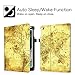 Fintie iPad 9.7 2018 2017 / iPad Air 2 / iPad Air Case - [Corner Protection] Multi-Angle Viewing Folio Cover w/Pocket, Auto Wake/Sleep for Pad 6th / 5th Gen, iPad Air 1/2, Ancient Map
