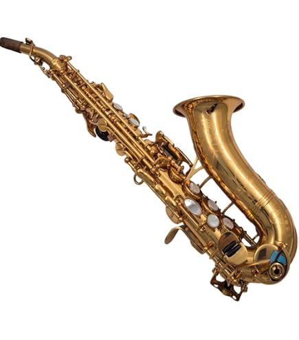 Amazon.com: Eastern music Yani style full silver plated Curved