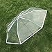 WerFamily Clear Transparent Folding Auto Open/Close Umbrella w Reinforced Steel Ribs (White Rim) Fast ePacket Shipping
