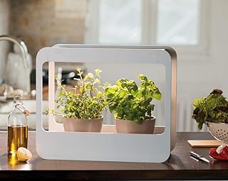 Romberg 16294399 Mini-Garten mit LED-Beleuchtung, Weiß, 50,5 x 21 x 40 cm