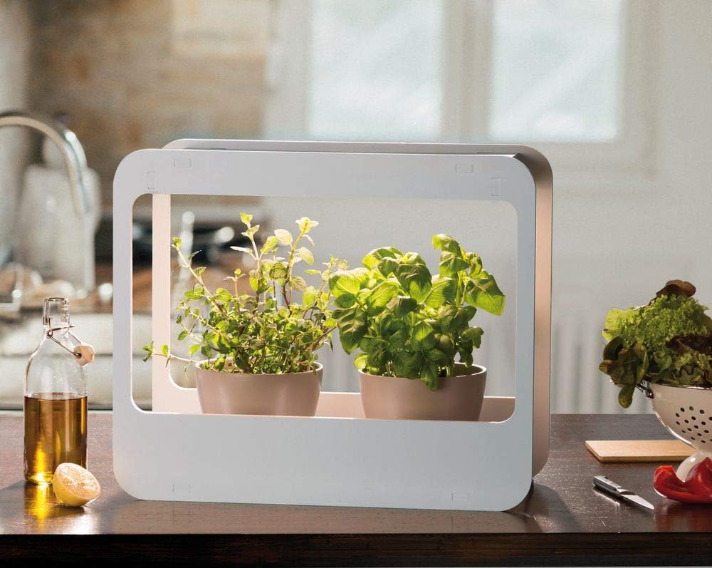 Romberg 16294399 Mini-Garten mit LED-Beleuchtung, Weiß, 50,5 x 21 x 40 cm