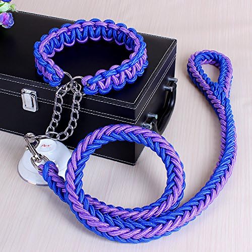 ACCENTORY Dog Nylon Adjustable Loop Slip Leash Rope Lead 1.2m Pet Products Remington Rope Slip Dog Leash 6-Feet Training Leashes (XL(2.5cm), blue-purple.)