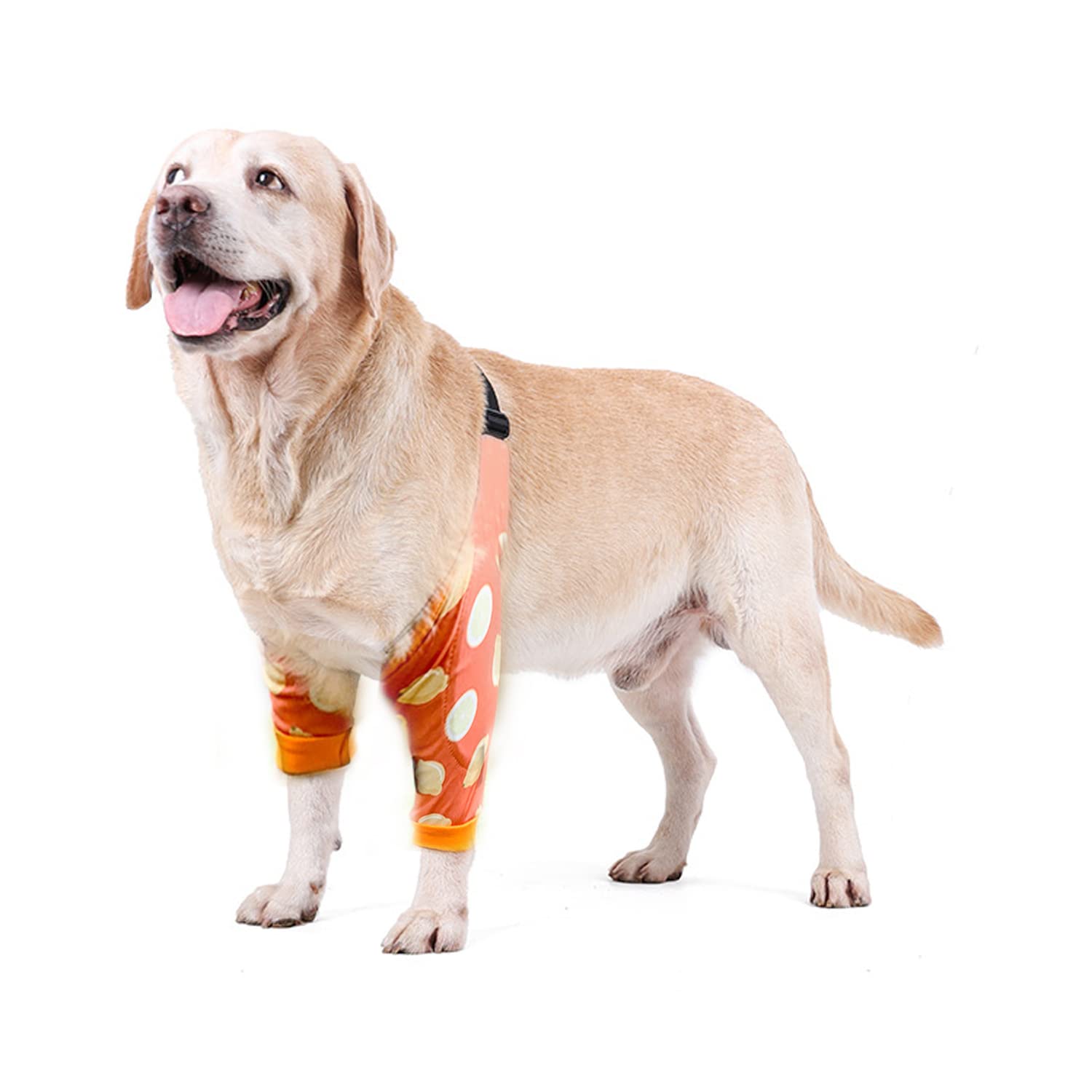 Blue Dream Island Dog Front Leg Braces Recovery Sleeve, Pet Knee Brace Wounds Protector for Medium Large Dog_2XL(Lemon)