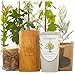 The Living Urn for People. Cremation Funeral Urn for Humans Including a Premium Tree Seedling. Grow a Living Memory Tree from the Ashes of a Loved One. 100% Biodegradable.