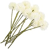 Healifty 16 Heads Simulated Dandelion Flower Branches Artificial White Dandelion Plants for Home Office Party Decorations and DIY Floral Arrangements