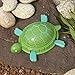 Educational Insights GeoSafari Jr. Great Excavations Turtle
