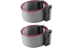 RANIT 2 Pieces IDC F/F Flat Ribbon Cable 20 Pin/Wire 2.54 mm Pitch 20P 48 cm