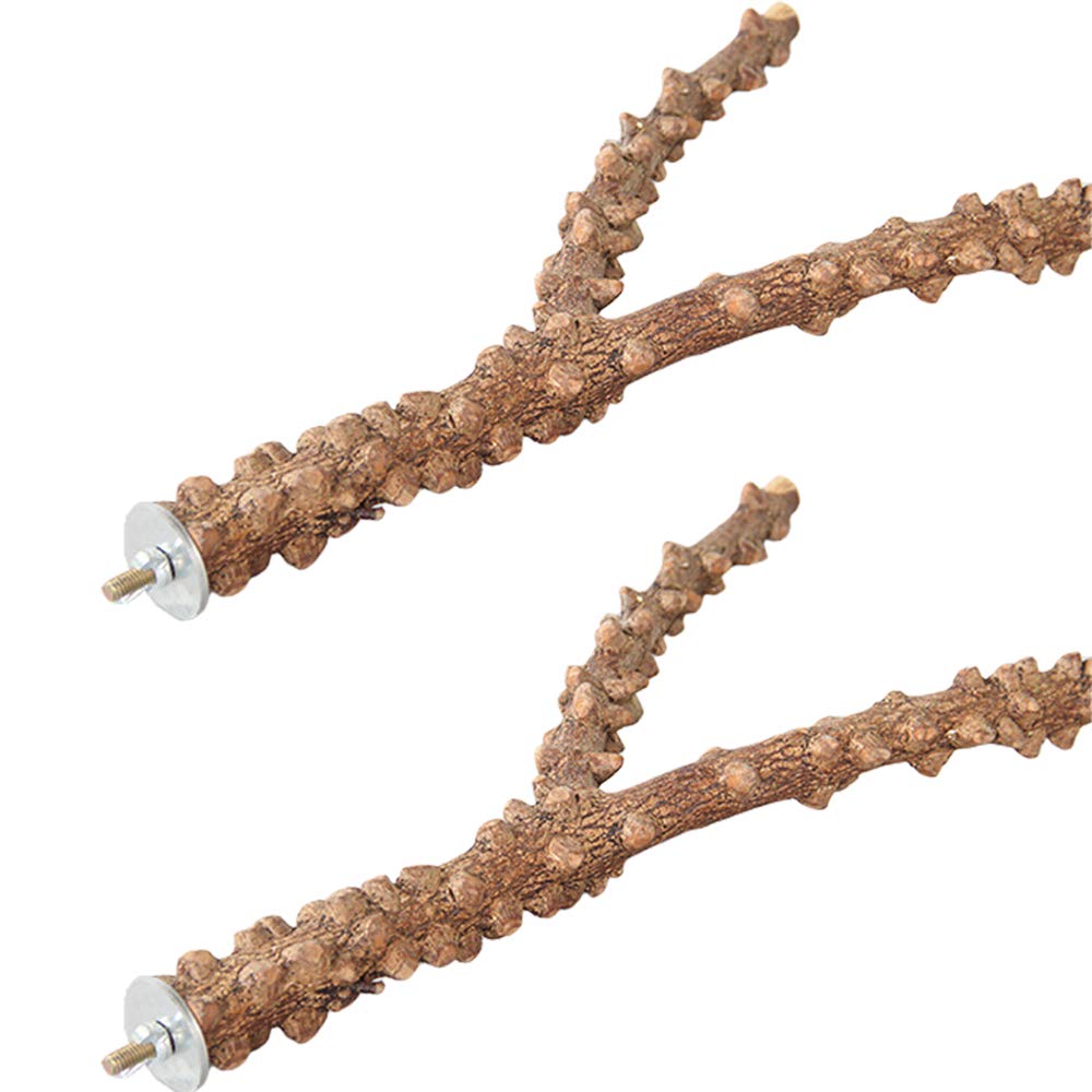 YANGWX 2 PCS Natural Wood Bird Y Perches, Parrot Wood Fork Stand Perch, Parrot Branches Toys for Canary Finch Budgie Cockatiel Finch Small Parrot Parakeet (30-35cm)