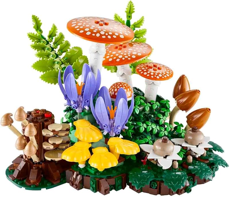Botanicals Funghi del bosco 11505