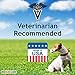 Curaseb Dog Shampoo for Itchy Skin w/ Oatmeal, Instantly Relieves Hot Spots, Chewing, Licking, Perfect for Allergy Dogs, #1 Veterinary Oatmeal Dog Shampoo, 100% Empty Bottle Satisfaction Guarantee