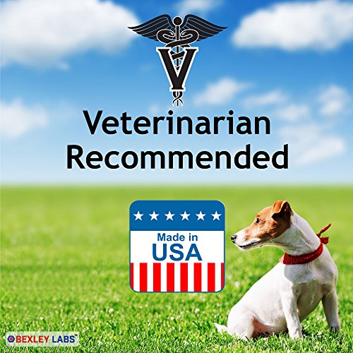 ketoconazole ear drops for dogs