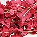 Crt Gucy 2 Pack 14 FT Artificial Hydrangea Flower Vine Wisteria Vines Cattleya Flowers Plants for Home Hotel Office Wedding Party Garden Craft Art Décor, Red